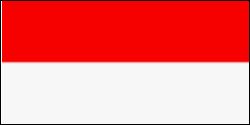 【インドネシア株】初心者おすすめ銘柄は?